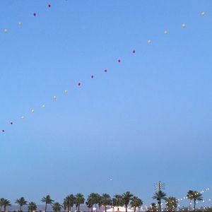 Meet your Posher, Eva